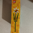 LEGO ICONS 40747 NARCISY SADA - 5