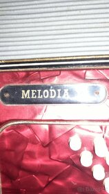 Harmonika Delicia Melodia akordeon - 5