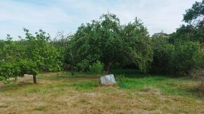 Stavební pozemek  Javůrek,20 km od Brna - 5