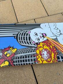 Skateboard limitka RIPNDIP - 5