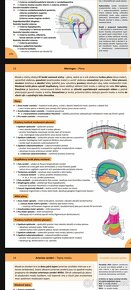 Anatomie 1, 2, 3 - Čihák - PDF - 5