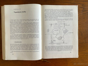 P. Karlson - Základy biochemie - 5