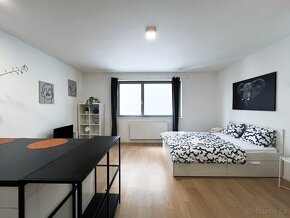 Podnájem bytu 1+kk 35 m² Mlýnská, Brno - Trnitá - 5