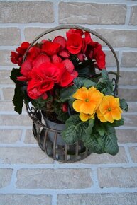 Kovový košík na květiny -květník PROVENCE-sada 2ks - 5