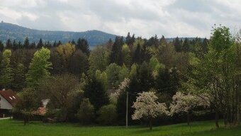 Stavební pozemek 2105m2 s chalupou, stodolou a potůčkem - 5