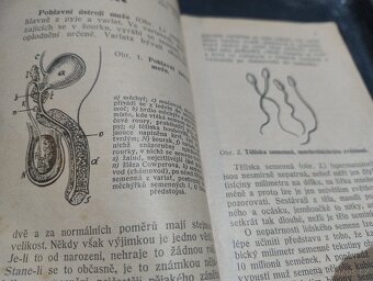 Stručná pohlavní zdravověda 1885  - 5