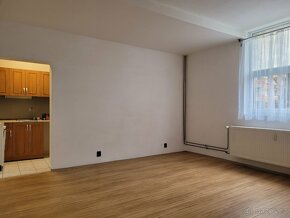 Pronájem bytu 1+kk 45 m² - 5