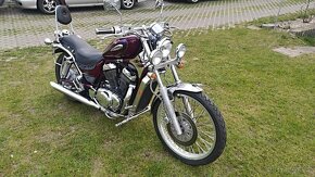 Suzuki VS 800 GL Intruder - 5