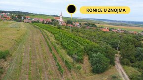 Prodej vinice 2 002 m2 - Konice u Znojma - 6