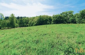 Prodej pozemky pro bydlení, 7.822 m2 - Jiříkov - Těchanov - 6