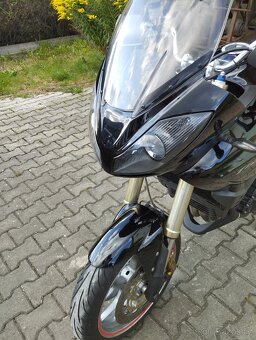 Triumph Tiger 1050 - 6