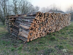 Palivové štípané dřevo - Polná - 6