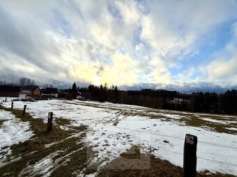 Prodej pozemky pro bydlení, 18 881 m2 - Bublava - 6