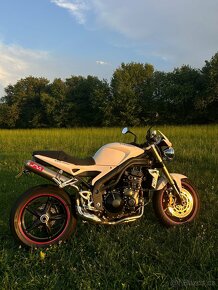 Triumph speed triple - 6