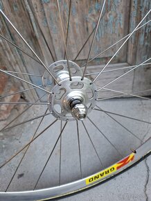 drahova kola Campagnolo Record / Remerx / Sapim - 6