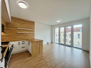 Pronájem krásného ateliéru v novostavbě, 2+kk, 46 m² - Brno - 6