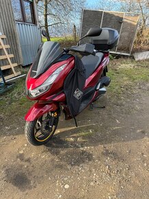 HONDA pcx - 6