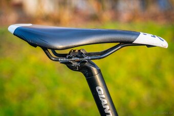 Horské kolo Giant Anthem X 29er Carbon - 6