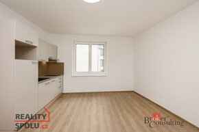 Pronájem, byty/1+kk, 30 m2, Puškinova 2141/14, Severní Předm - 6