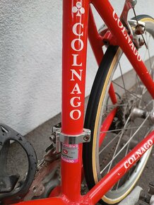 Prodam juniorske kolo ernesto colnago campagnolo - 6