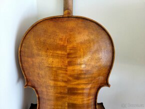 Krásné violoncello - 6