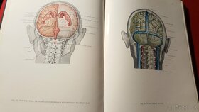 Atlas anatomie člověka - II. a III. díl (Kiss) - 6