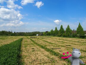 Prodej pozemku 2 653 m2 určeného pro výstavbu rodinného domu - 6