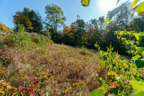 Prodej, pozemky/bydlení, 1128 m2, Nová Ves nad Nisou, Jablon - 6