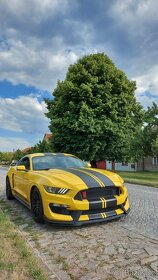 PRONÁJEM MUSTANG GT, 5.0 V8 345kW, USA MANUÁL - 6