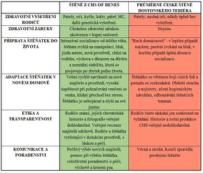 Bostonský teriér s PP - březen 2025 - 6