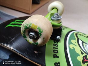 Snake sateboard poison deal componition speciál edition - 6