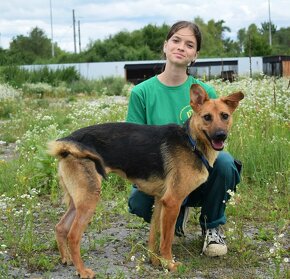 LILLA K ADOPCI - přátelská, vděčná, čeká na anděla - 6