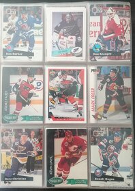 Sběratelské Hokejové karty Ultra Fleer 1995/96 - 6