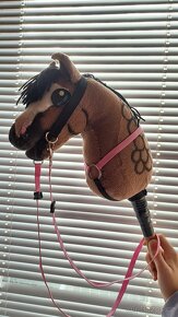 Hobby Horse - 6