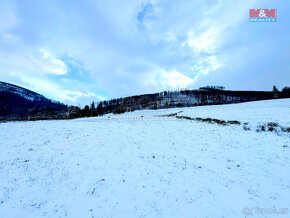 Prodej ostatní, 4966 m², Kozlovice u Frýdku - Místku - 6