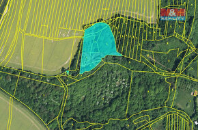 Prodej lesa, 9823 m², Lhota u Zlína - 6