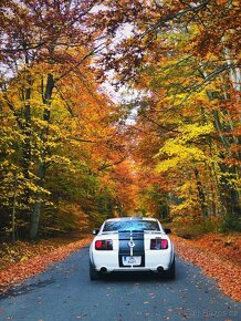 Ford Mustang GT 4.6 V8 - 6