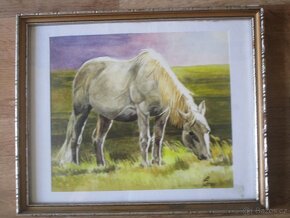 koně .olejomalba-akvarel-ruční malba - 6