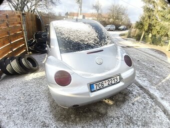 New Beetle brouk - 6