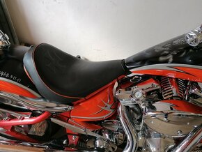 Big Dog-Bulldog, Harley Davidson - 6