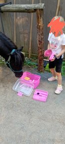 Výcvik a jízda na Shetland pony - 6