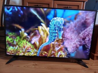 Smart TV LG 49LH6047-uhlopříčka 123cm,wifi, dvbt2 - 6