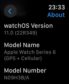 Apple Watch Series 6 Stainless Steel Cellular - 6