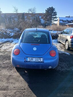 New beetle - 6