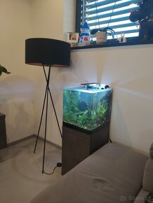 Komplet profi vybavené nano akvárium 60 l - 6