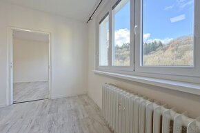 Pronájem bytu 1+1, 35 m2, Kadaň ul. Na Podlesí, ev.č. 00366 - 6