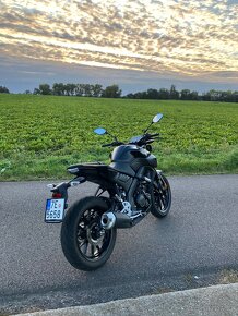 Yamaha MT125 - 6