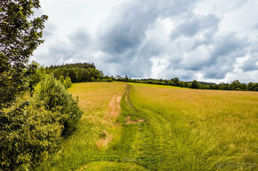 Prodej louky v Horním Poříčí 7 954 m² - 6