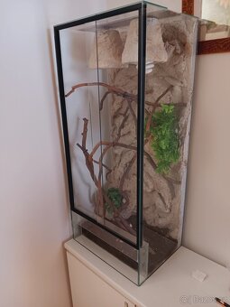 Terarium po chameleonovi - 6