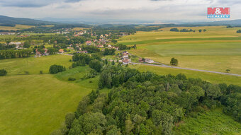 Prodej louky, 4178 m², Dětřichov - 6